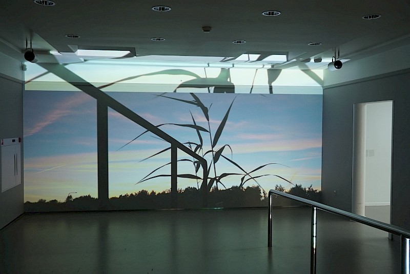 Le rêve, la route, le mur, Passage I