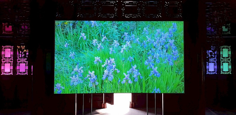 Cell Memory, Thank You Plant, installation