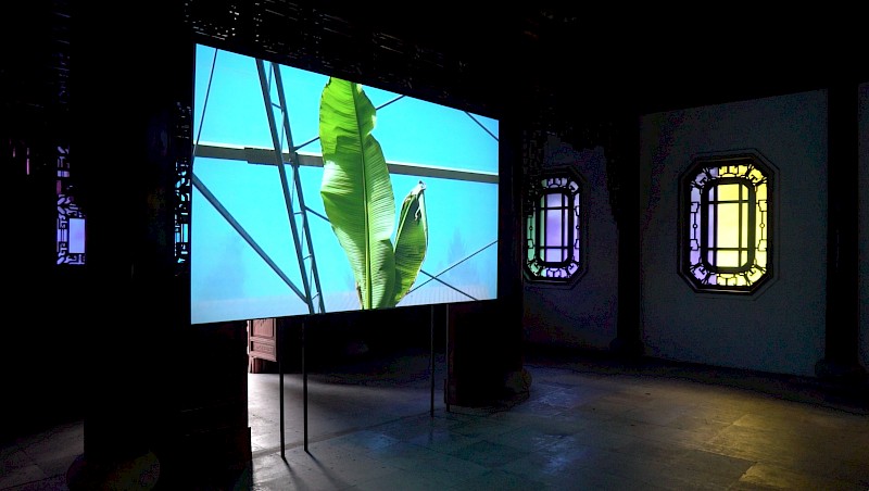 Cell Memory, Thank You Plant, installation
