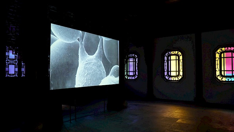 Cell Memory, Thank You Plant, Work in progress