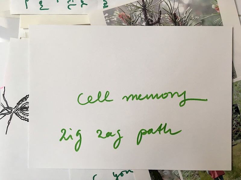 Cell Memory - Thank You Plant