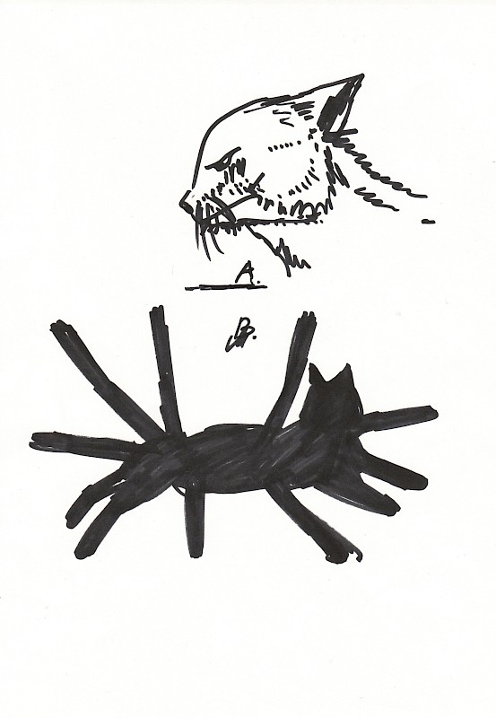 How to Draw A Cat In Political Meeting Rooms