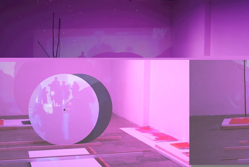 Transporting Studio to the Brain