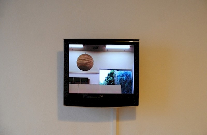 Moving Lizard Lamp Lampions