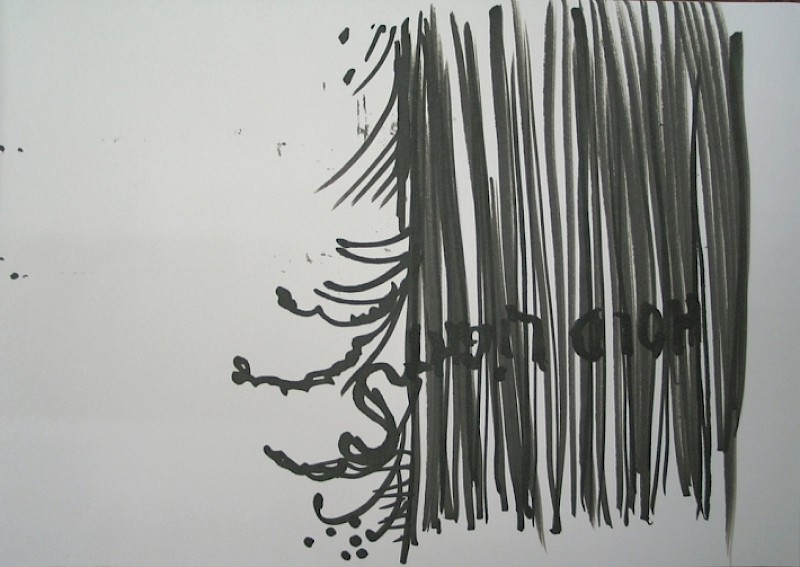 Studio 2008-2